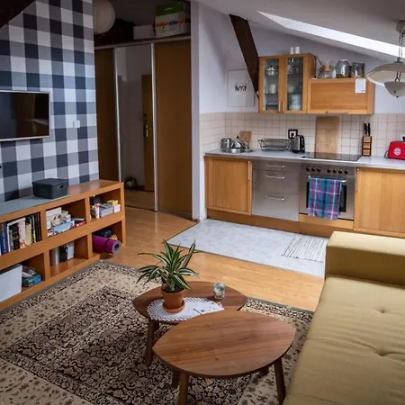 Bright Loft Radziwillowska Street דירה קרקוב